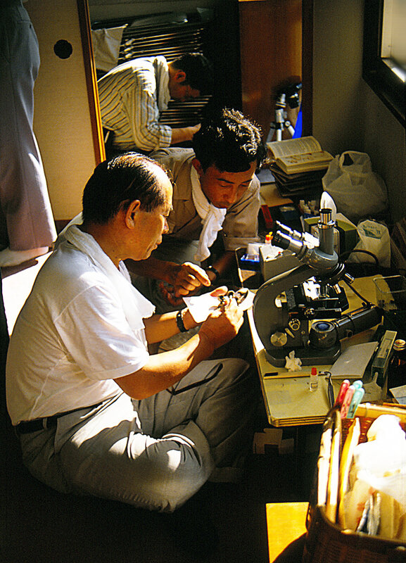 Yoshimi Sensei 1989 Daisen