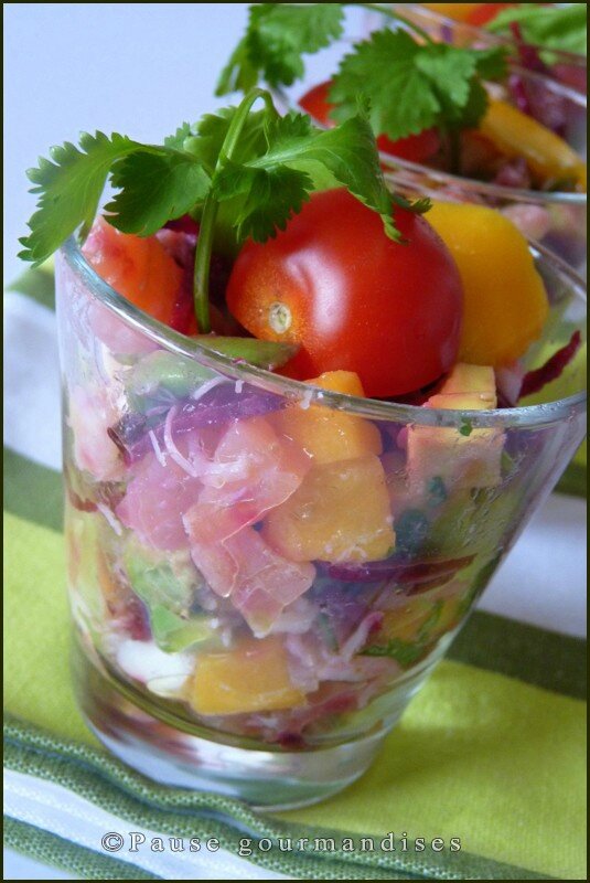 04-Verrine marine avocat mangue et betterave copie (15)