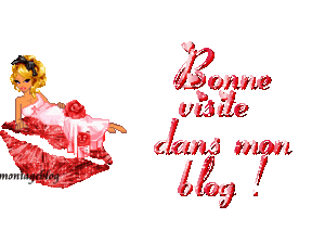 Bienvenue_dans_mon_blog
