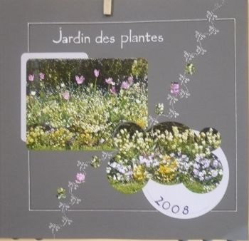 Jardin_des_plantes