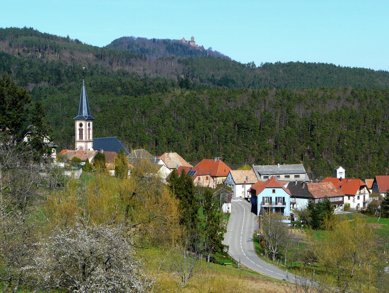 Taennenkirch (13)