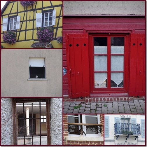 fenetres 29 janvier 20184