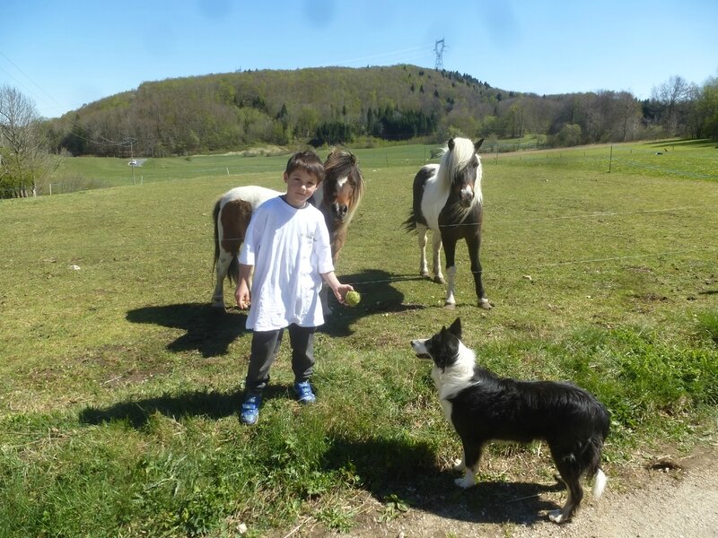 K un jeune guide de ferme en ferme