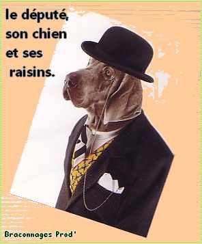 Monsieur_chien