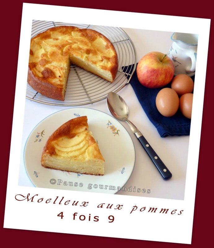 Moelleux aux pommes 4X9 (15)