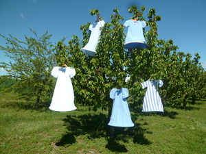 arbre___robes_bleues