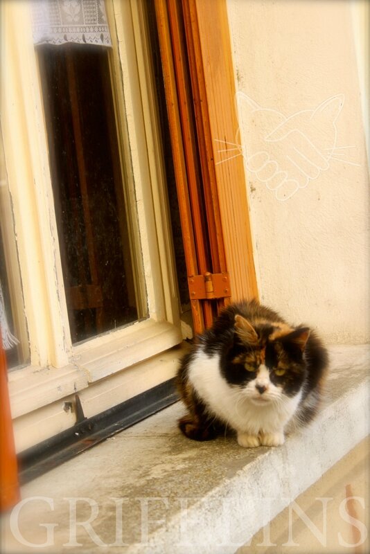 PostCourcelles_Gitane