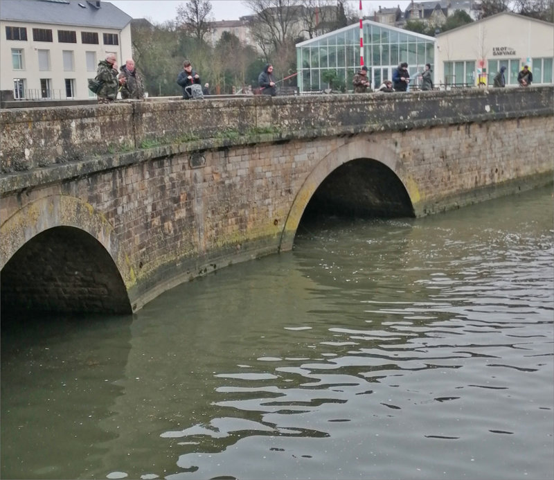 Pêche truites 110323 10 ym pont