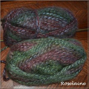 Roselaine715 gilet tricot