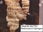 papyrus-p52