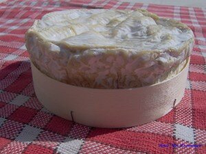 Camembert