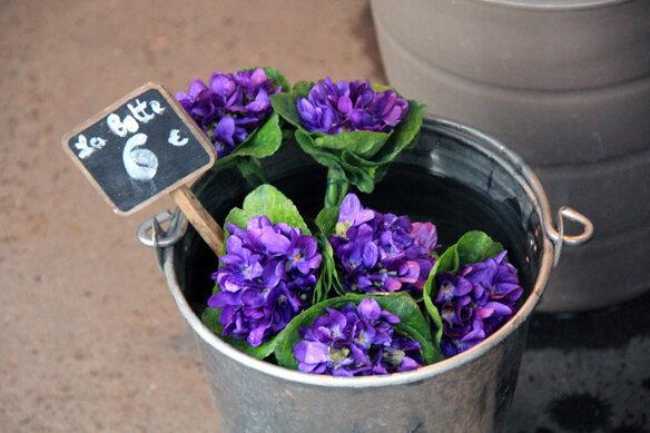 bouquets_de_violettes