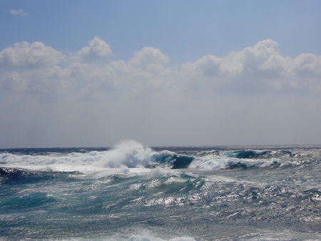 Site_Surf_On_shore_Roche_Noire