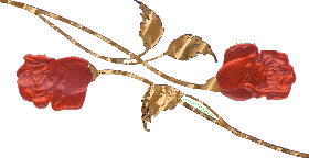 2_roses