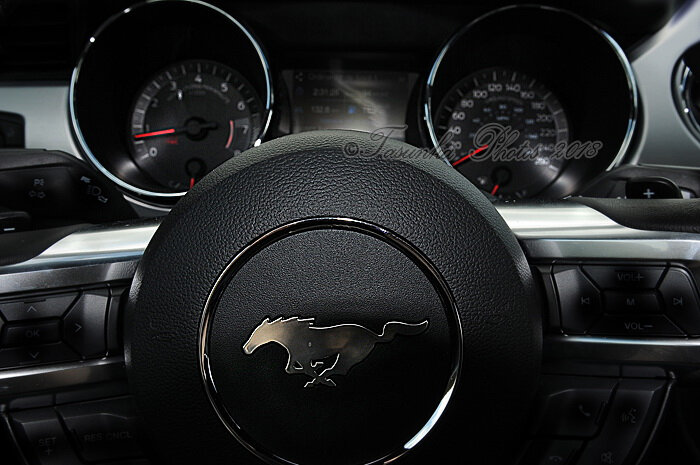 MustangV8_Tasunkaphotos2018_14