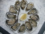 Huitres_1