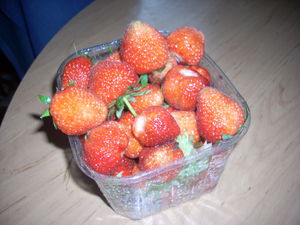 fraises_004