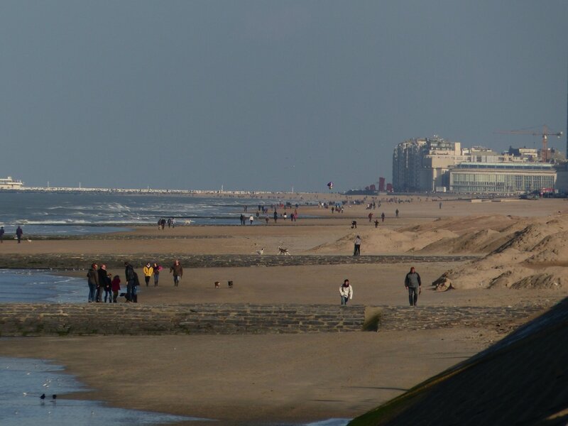 10 NOVEMBRE 2014 ostende (23)