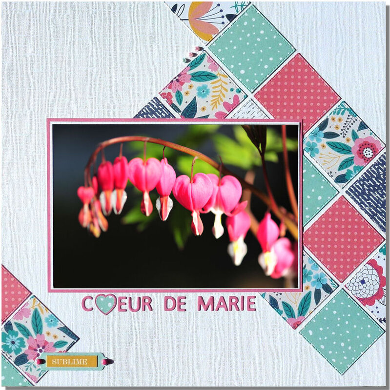 Coeur-de-Marie1