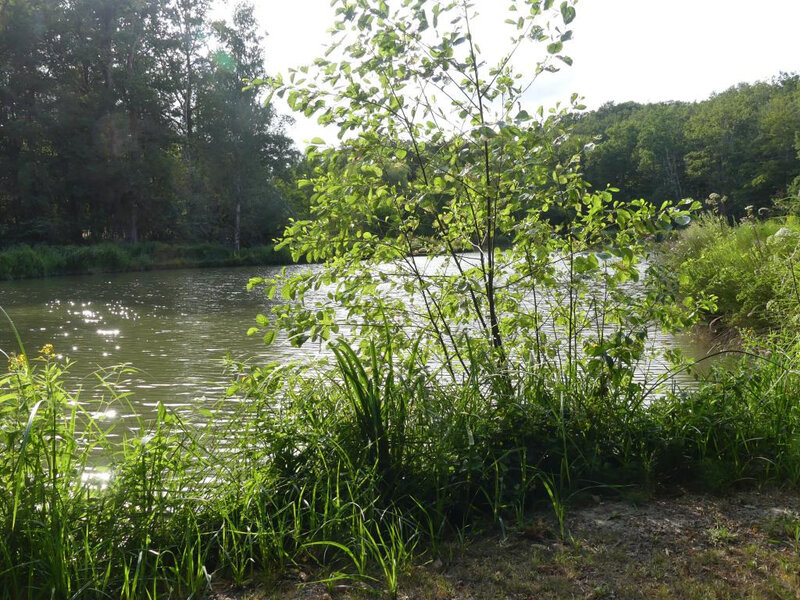 P1020534