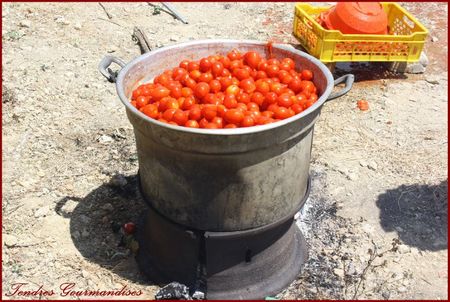 recettes Sauce tomate cerise maison