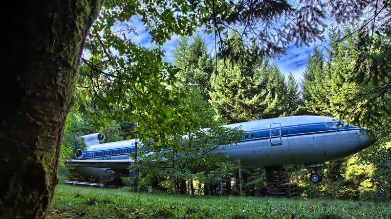 avion-maison-cache-arbre