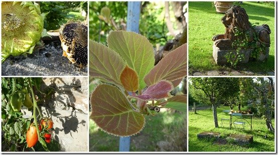 jardin 1er octobre 2023