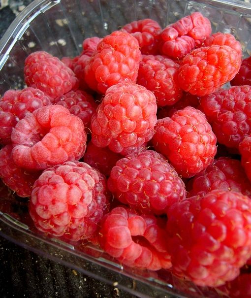 framboise