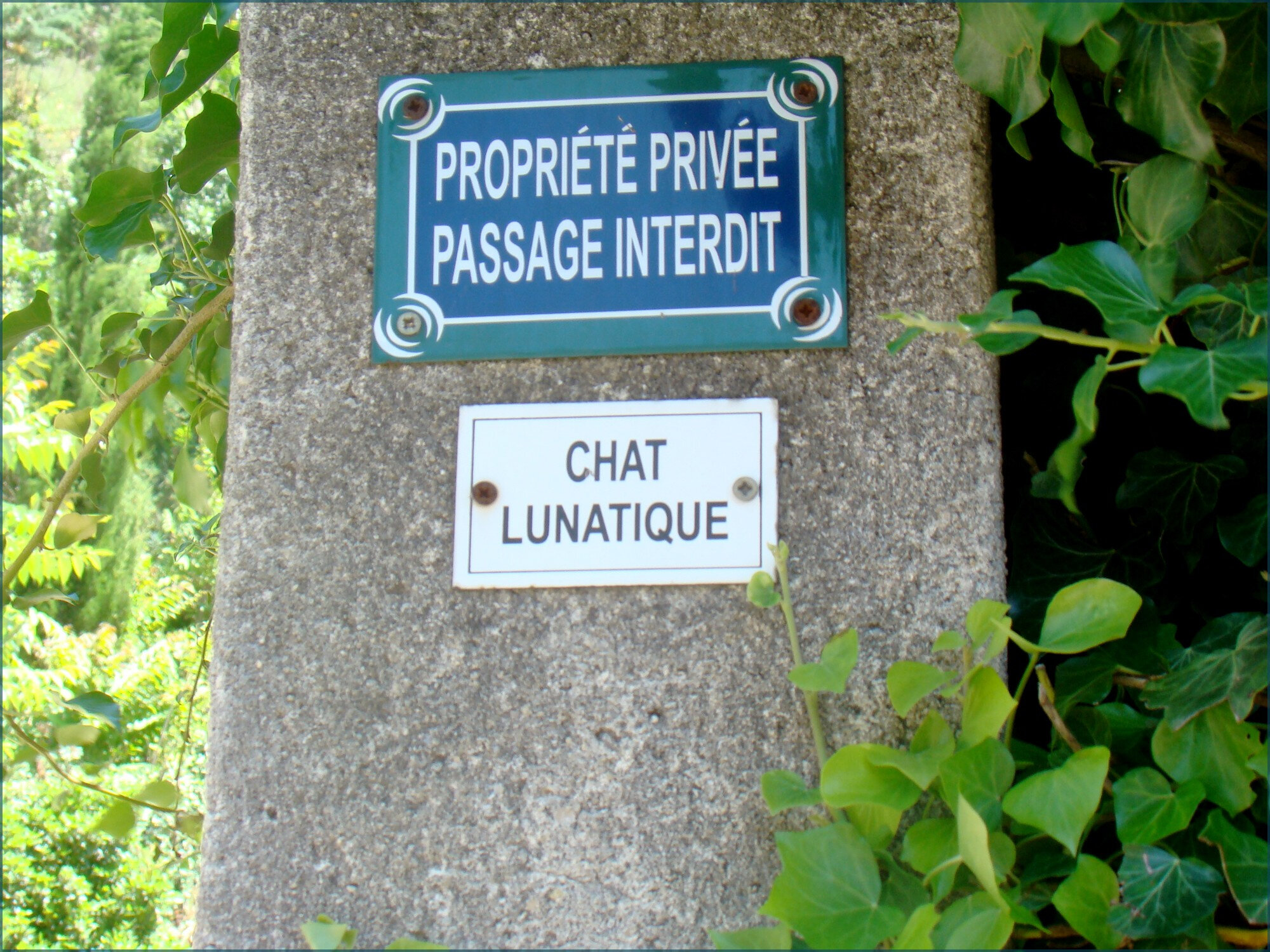cathy_plaque