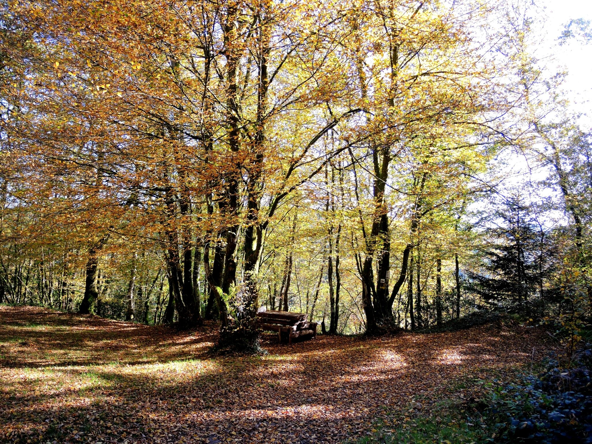 Chapelle de Faubouloin, table et couleurs (58)