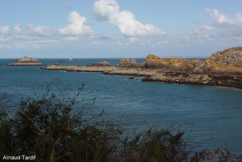 00216 Bretagne Saint-Coulomb - La Réserve Ornitho de l'Ile des Landes