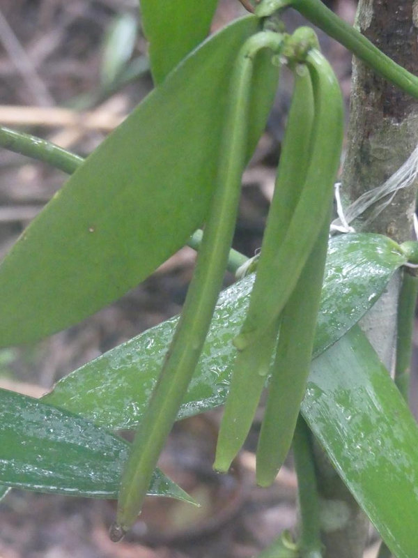 P1250098