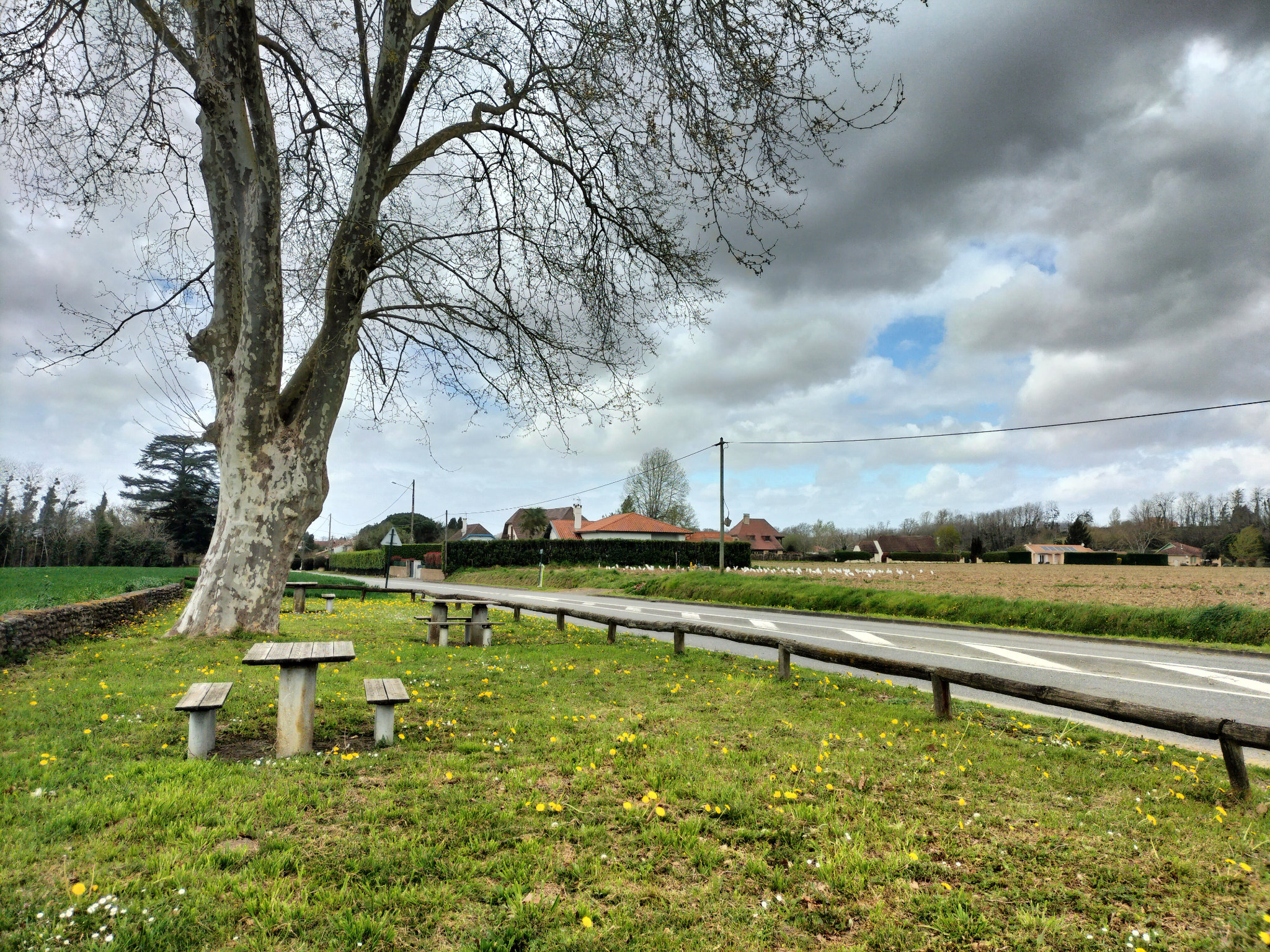 Caresse, bord de route (64)