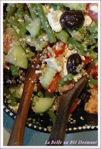 Quinoa_a_la_gresque_21