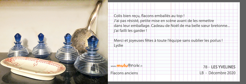 20-12-FLACONS-BLEUS-muluBrok