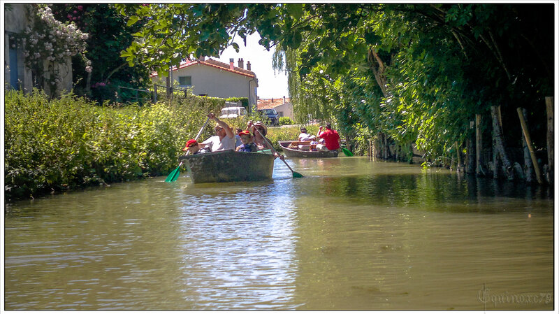 Marais Poitevin - Breton la N’Yole dés - barques (2)