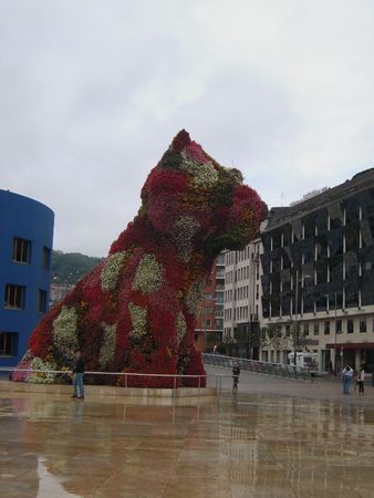 DSCN3524