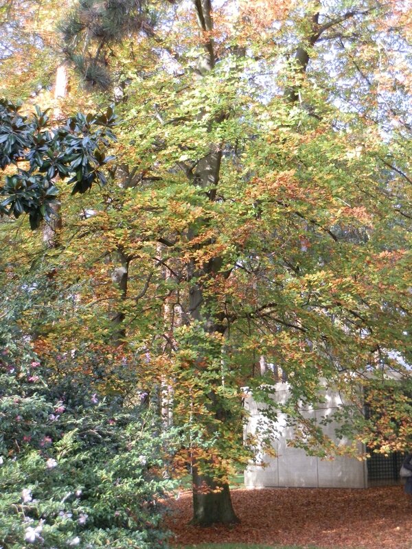 PB091200