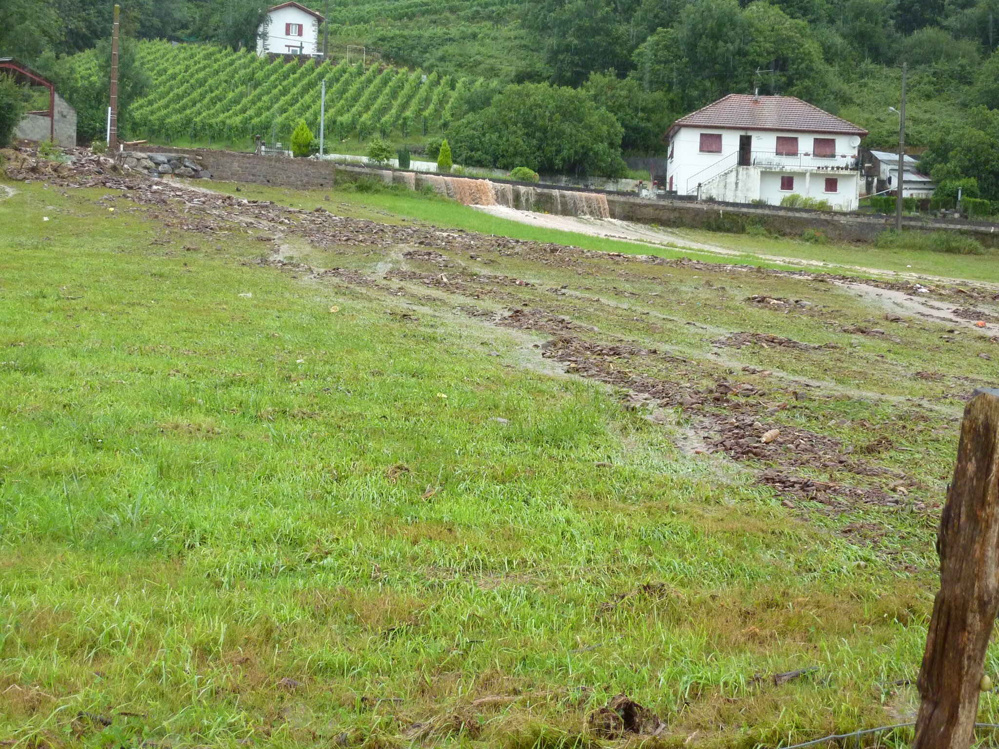 P1020134