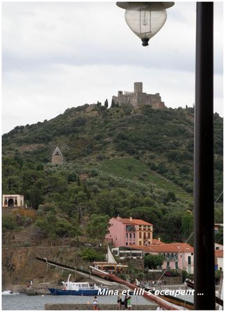 2012 07 14 Collioure20