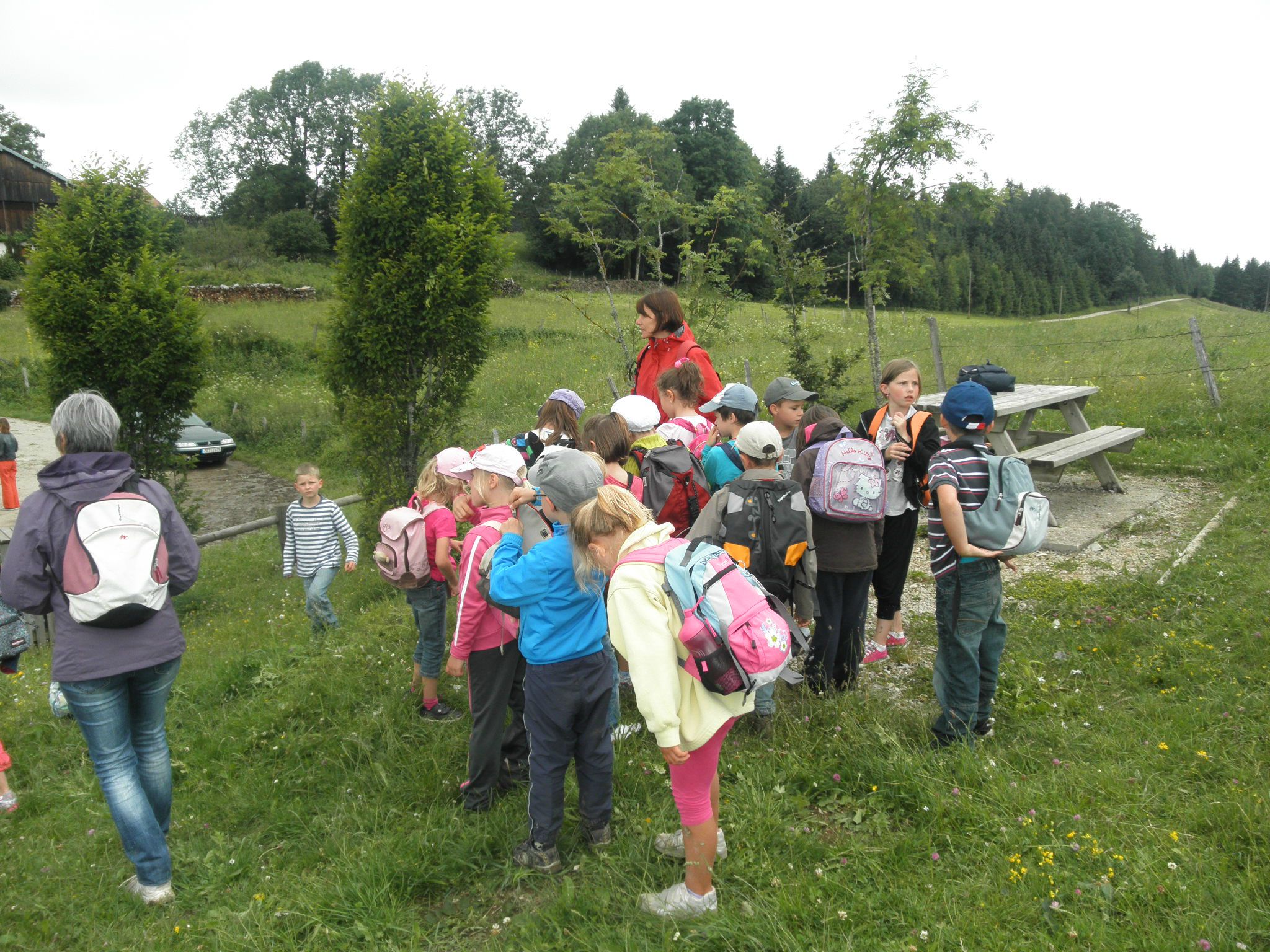 P7030141