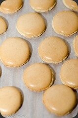 Macarons-Dulce-de-Leche-8