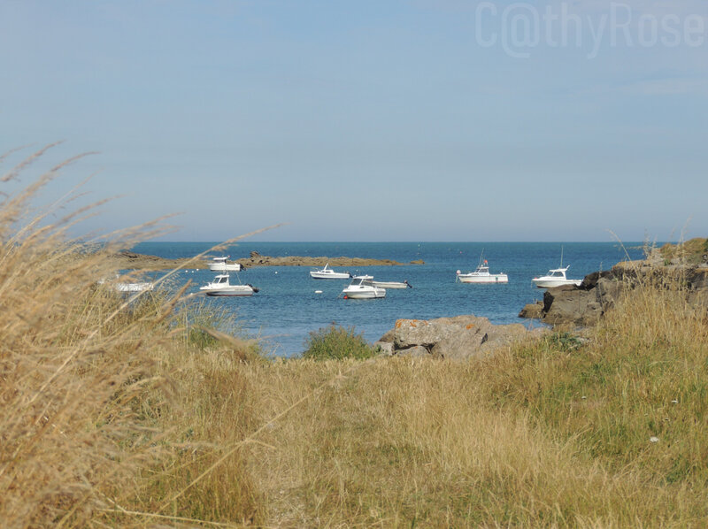 && près Barfleur (6)