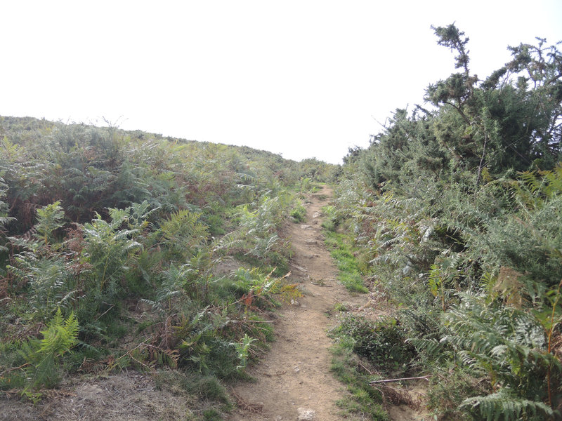 Mont Ursuya, à travers champs, sentier (64)