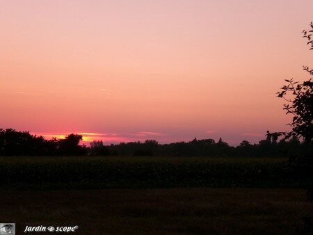 Couche_soleil_sur_orleans