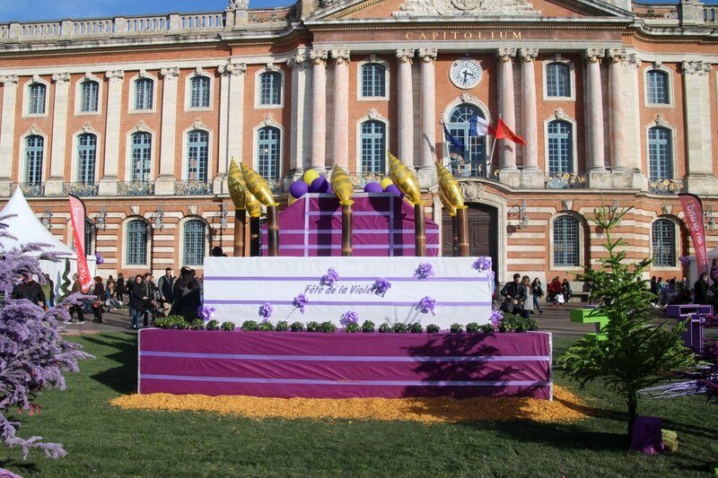 Gâteau gonflable des 10 ans de la fête de la Violette