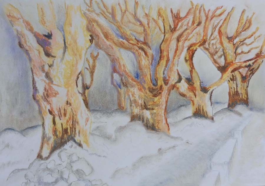 ArbrFrançTrim3-23arbr