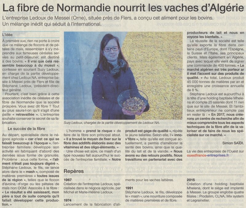 R_ussite_normande_vaches_alg_riennes