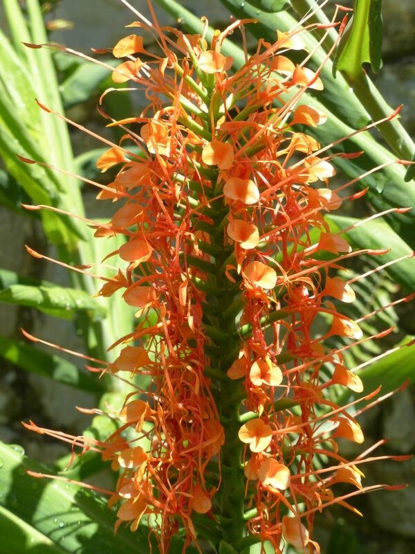 P1240028