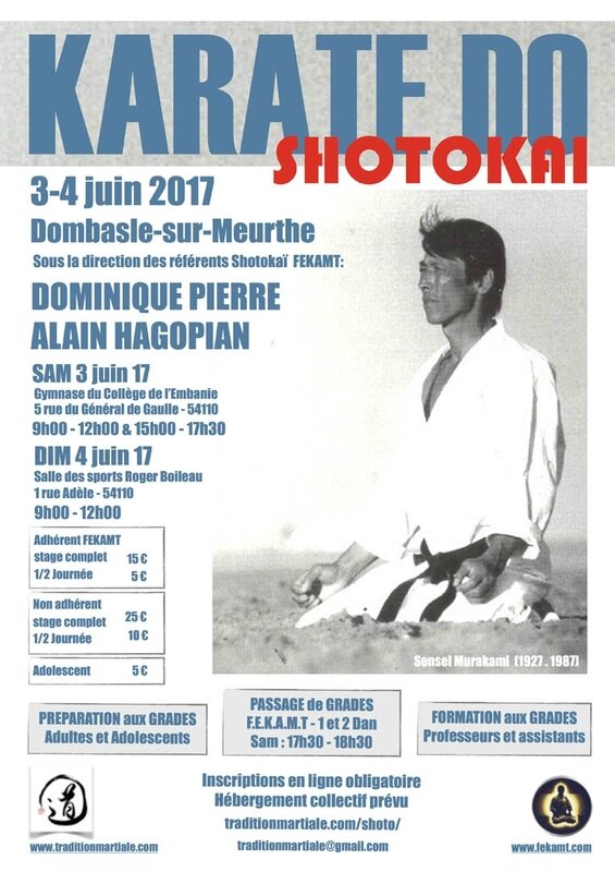 STAGE SHOTOKAI FEKAMT - 3-4 juin 17